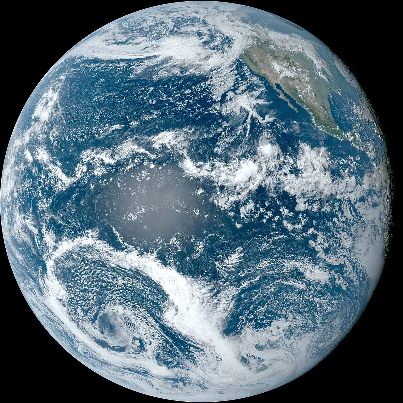 The Forces That Drive Ocean Currents: A Complex System