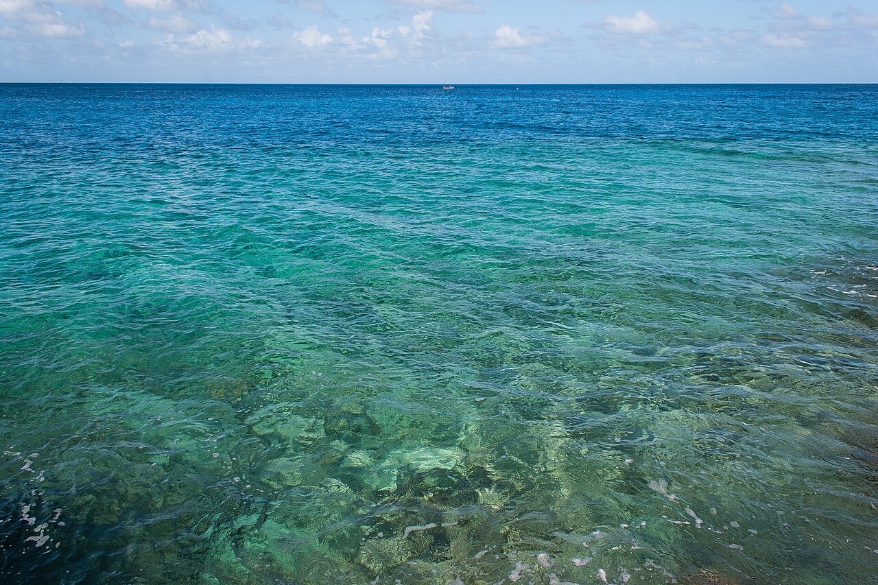 The Role of Thermohaline Circulation: The Deep Engine
