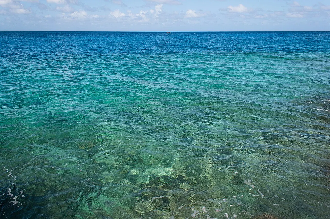 The Role of Thermohaline Circulation: The Deep Engine